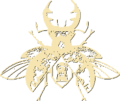 Goldbug Logo